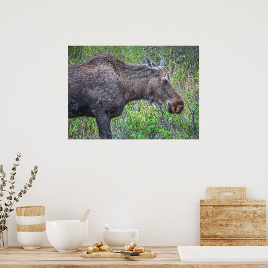 Moose Portrait Poster (Küche)
