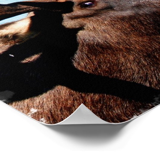 Moose Poster Print (Ecke)
