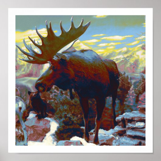 Moose Print Poster (Vorne)