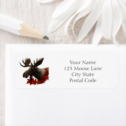 Moose Red Maple Blätter (Insitu)