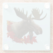 Moose Red Maple Blätter Glasuntersetzer (Rückseite)