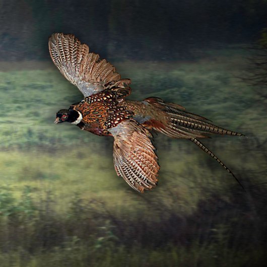 "MOOSE REFRESHING AM RIVERS EDGE" LEINWANDDRUCK