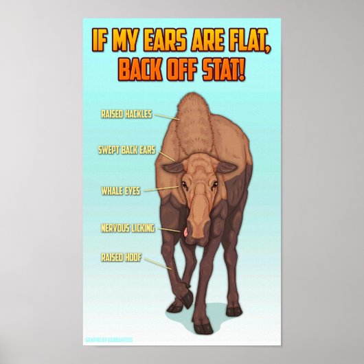 Moose Safety Graphic Poster Print (Vorne)