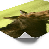 Moose sagte jemand "Cake" Poster (Ecke)