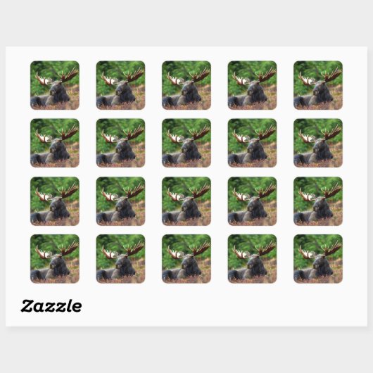 Moose Square Sticker (Blatt)