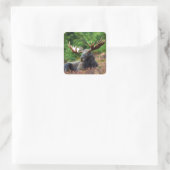 Moose Square Sticker (Tasche)
