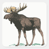 Moose Stickers (Vorderseite)
