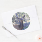 Moose Stickers (Umschlag)