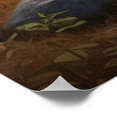 *~* MOOSE Stream Nature Cabin Forest AP49 Poster (Ecke)