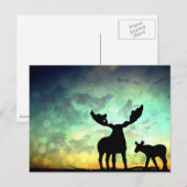Moose Sunrise Postkarte (Vorne/Hinten)