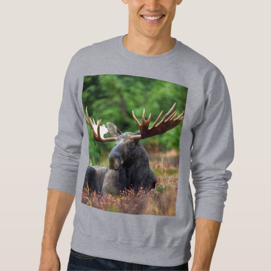 Moose Sweatshirt (Vorderseite)