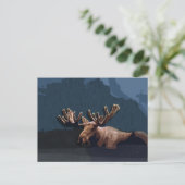 Moose Talk Postcard Postkarte (Stehend Vorderseite)