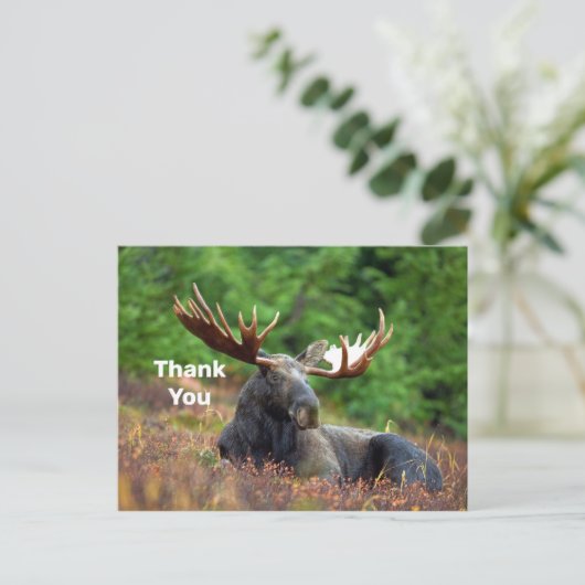 Moose Vielen Dank Postcard Postkarte (Stehend Vorderseite)