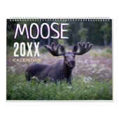Moose Wall Calendar 2026 Wildlife Animals Kalender (Titelbild)