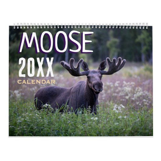 Moose Wall Calendar 2026 Wildlife Animals Kalender (Titelbild)