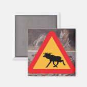 Moose Warning Crossing Sign Whittier Alaska Magnet (Vorderseite/Rückseite)