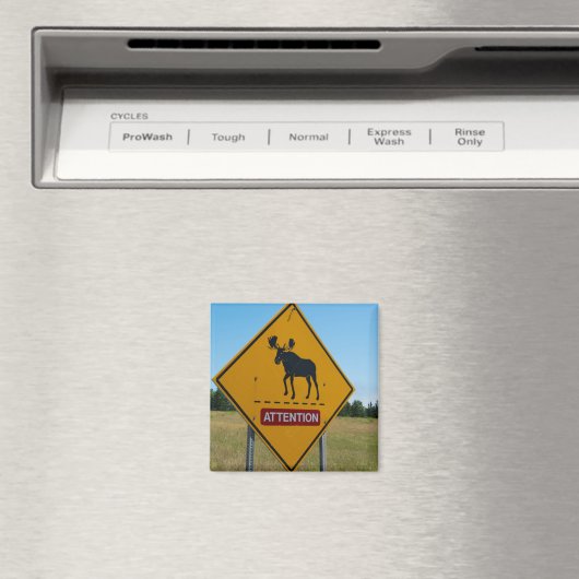 Moose-Warnzeichen Magnet (In Situ (Geschirrspüler))