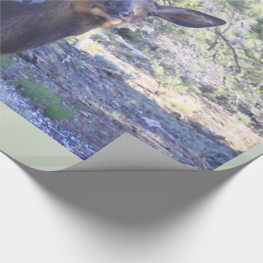 Moose Wrapping Paper Geschenkpapier (Ecke)