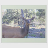 Moose Wrapping Paper Geschenkpapier (Flach)