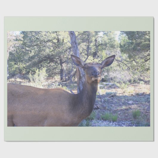 Moose Wrapping Paper Geschenkpapier (Flach)