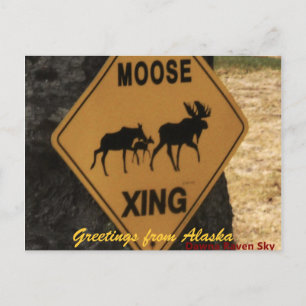 Moosecrossing, Grüße aus Alaska Postkarte