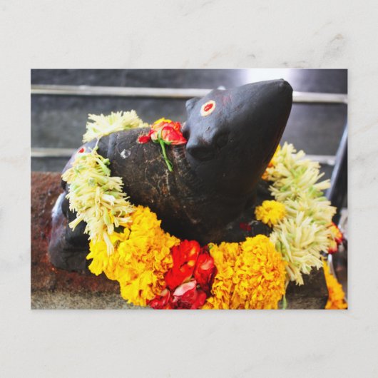 Mooshika, die Mäusestatue Postkarte (Vorderseite)