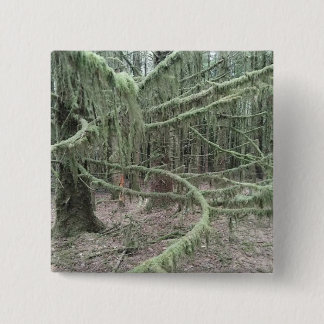 Moosige Bäume im walisischen Wald 2025 Button