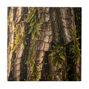 Moosige Baumrinden-Waldtextur Fliese