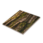 Moosige Baumrinden-Waldtextur Fliese (Seite)