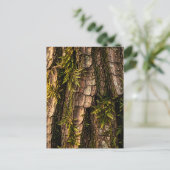 Moosige Baumrinden-Waldtextur Postkarte (Stehend Vorderseite)