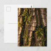Moosige Baumrinden-Waldtextur Postkarte (Vorne/Hinten)