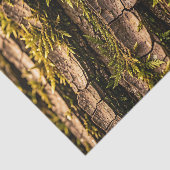 Moosige Baumrinden-Waldtextur Seidenpapier (Ausschnitt)