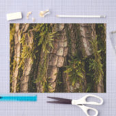 Moosige Baumrinden-Waldtextur Seidenpapier (Handwerk)