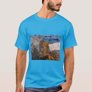 Moosige Meer Steine Strand T-Shirt