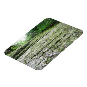 Moosiger Flusssteinmagnet des Psalms 61 Magnet