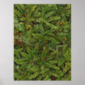 Moosmotiv Poster (Vorne)