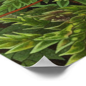 Moosmotiv Poster (Ecke)