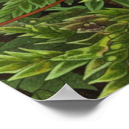 Moosmotiv Poster (Ecke)