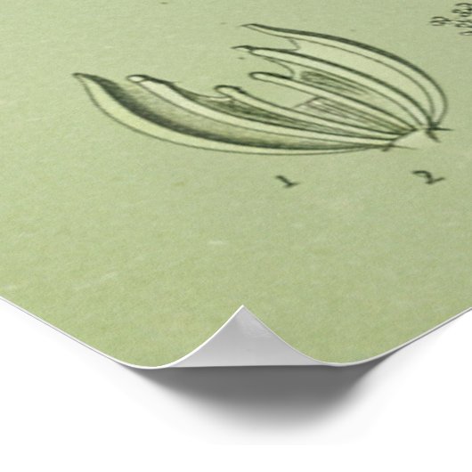 Moosmotiv Poster (Ecke)