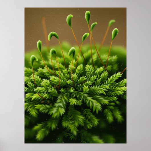 Moosmotiv Poster (Vorne)