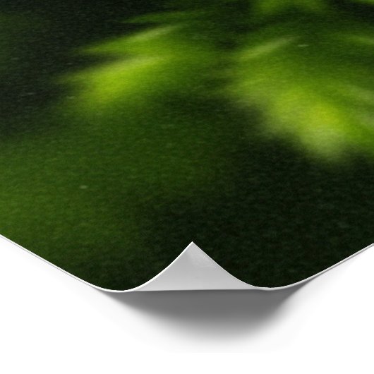 Moosmotiv Poster (Ecke)