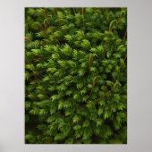 Moosmotiv Poster (Vorne)