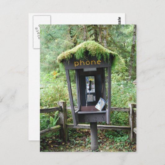 Moosüberdeckte Telefonzelle Postkarte (Vorne/Hinten)