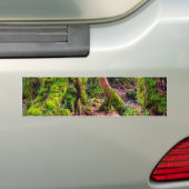 Mooswald Autoaufkleber (Auf Auto)