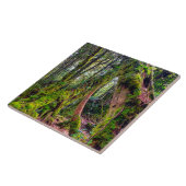 Mooswald Fliese (Seite)