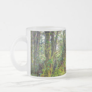 Mooswald Mattglastasse