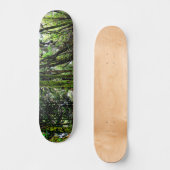 Mooswald Skateboard (Vorderseite)