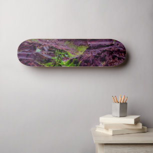 Mooswald Skateboard