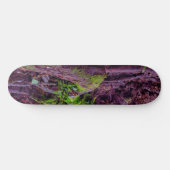 Mooswald Skateboard (Horizontal)