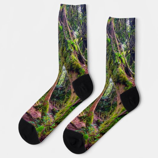 Mooswald Socken (Linkes Detail)